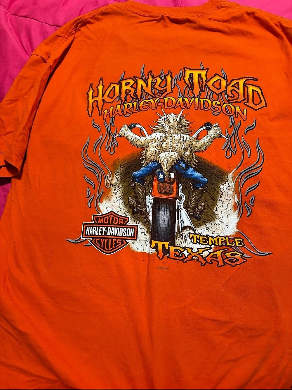 Harley-Davidson Horny Toad Harley-Davidson Temple Texas Graphic T-Shirt Graphic